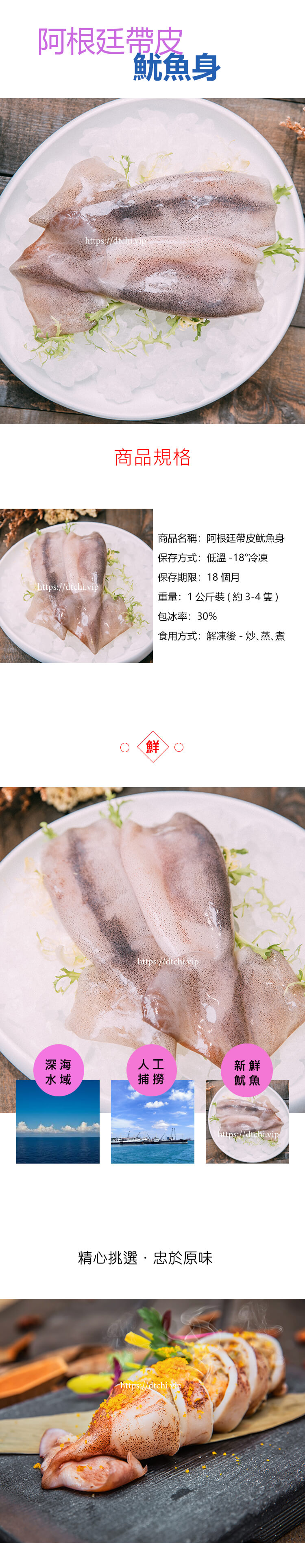 阿根廷深海帶皮魷魚身